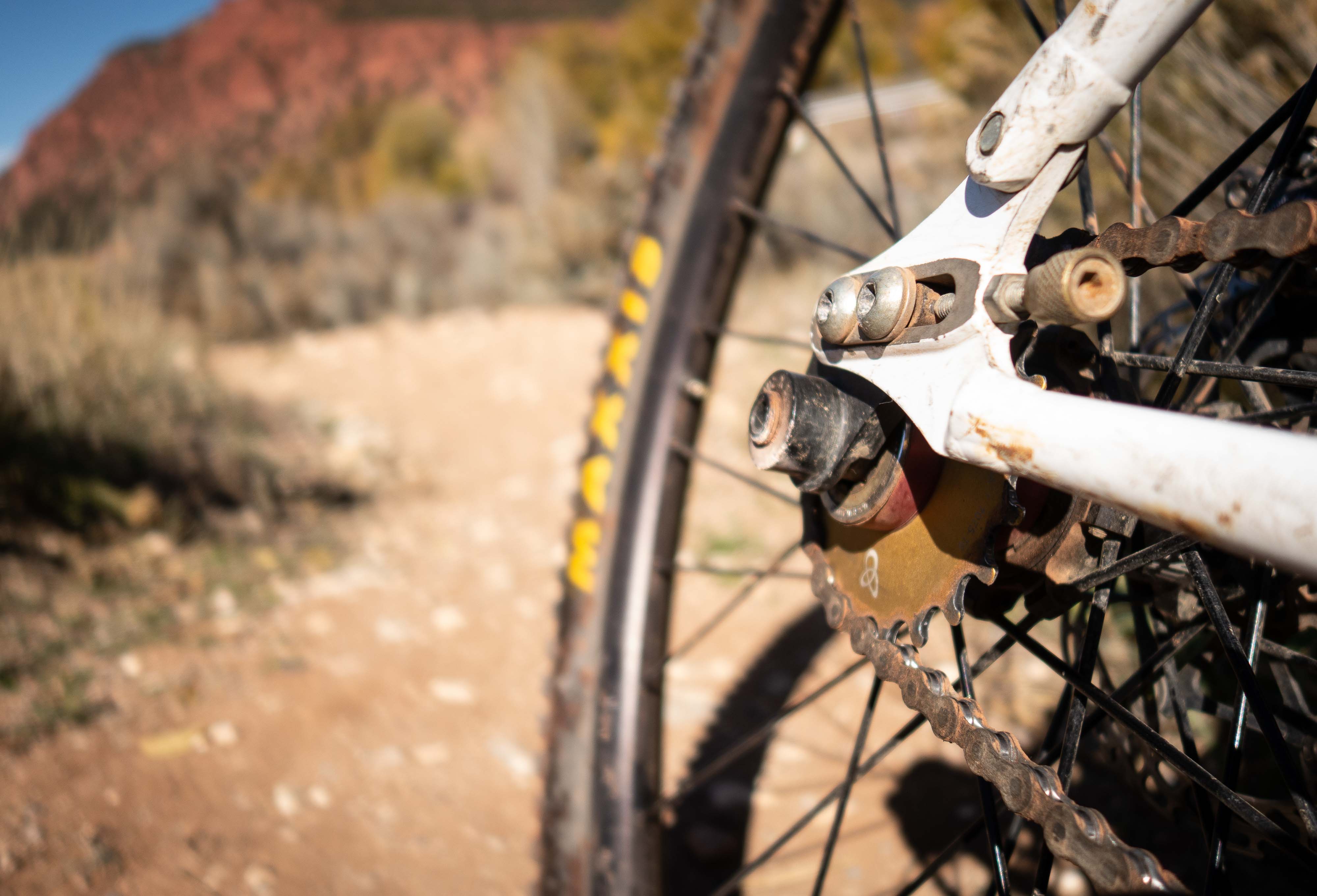 Worthy Offerings // Learning the True Scope of Mountain Biking Freehub  Magazine