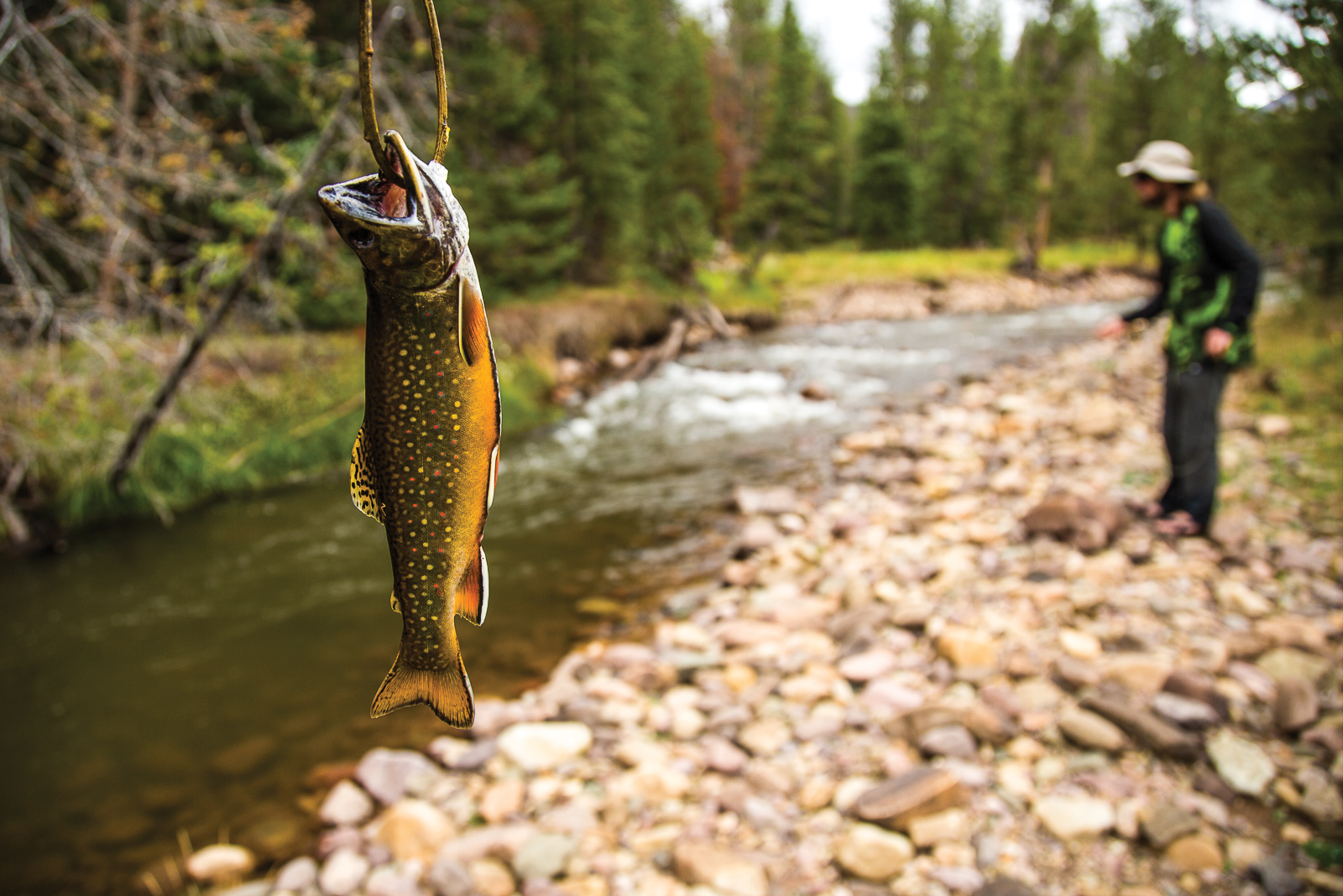 Ловить речную. Рыба горных рек. Рыбалка на горной реке. Горный Алтай рыбалка. Рыбалка на горной речке.