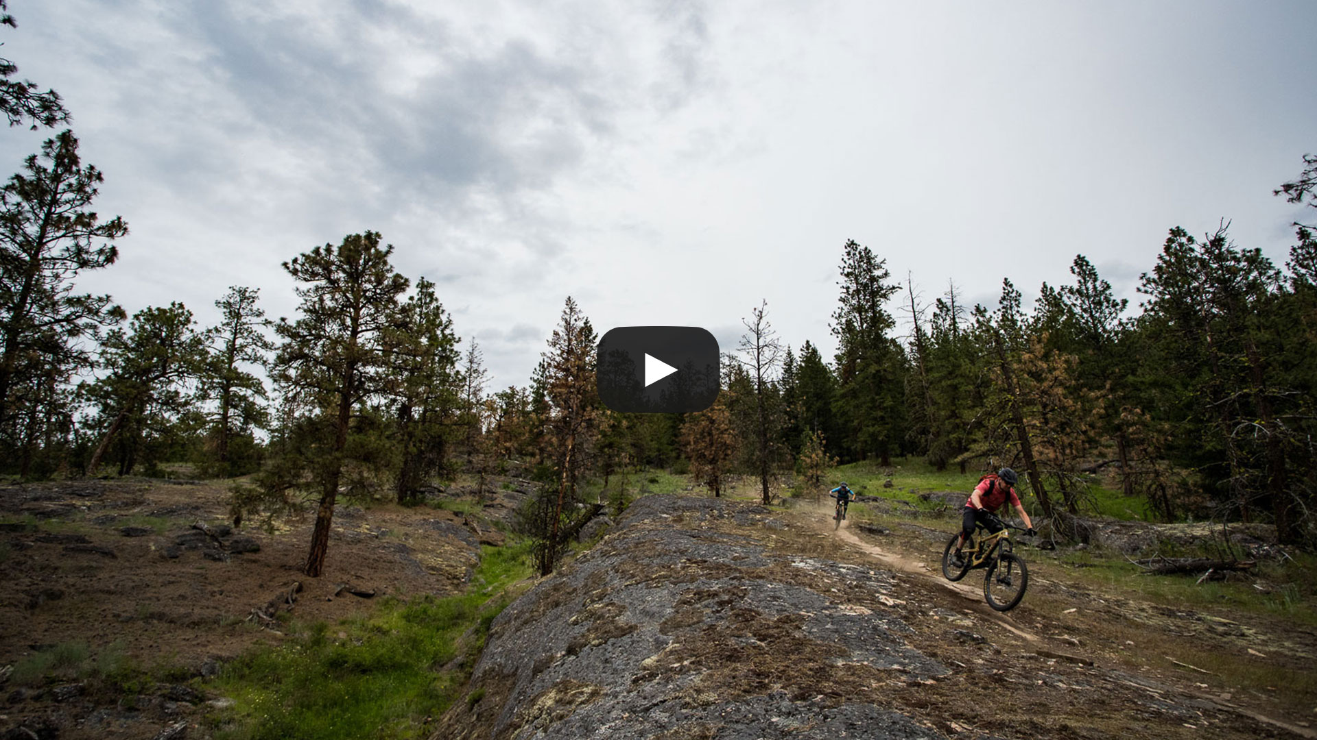 Classic Okanagan // Trail Touring Penticton, Kelowna & Vernon Freehub
