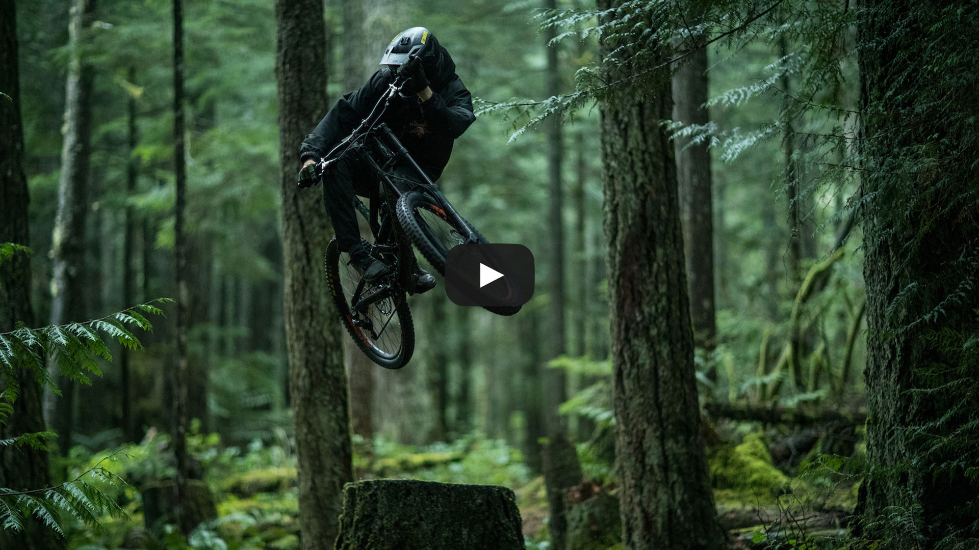 Furious BC: Daniel & Brendan COMMENCAL Bicycles | Freehub Magazine