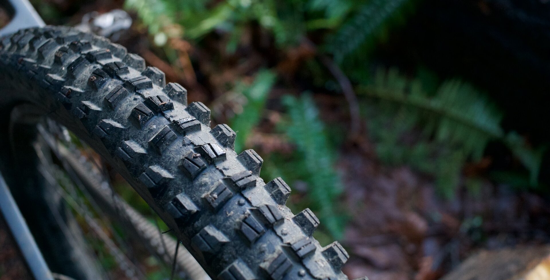 Updated enduro treads and SG2 Puncture Protection on WTB mountain tires.