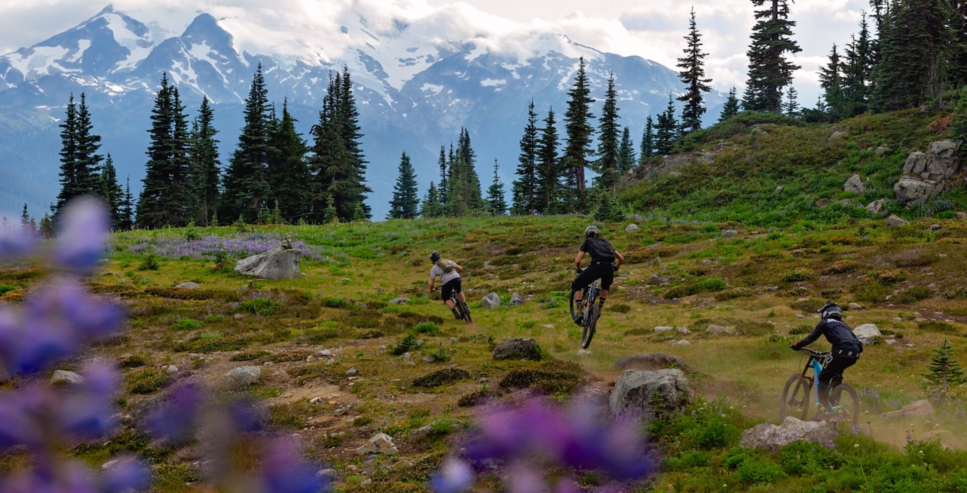 Heli-biking with AlpX Expeditions in the high alpine above Whistler. Photo: Clint Trahan