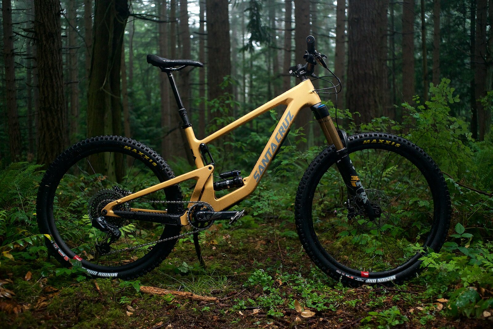 santa cruz bronson carbon cc x01