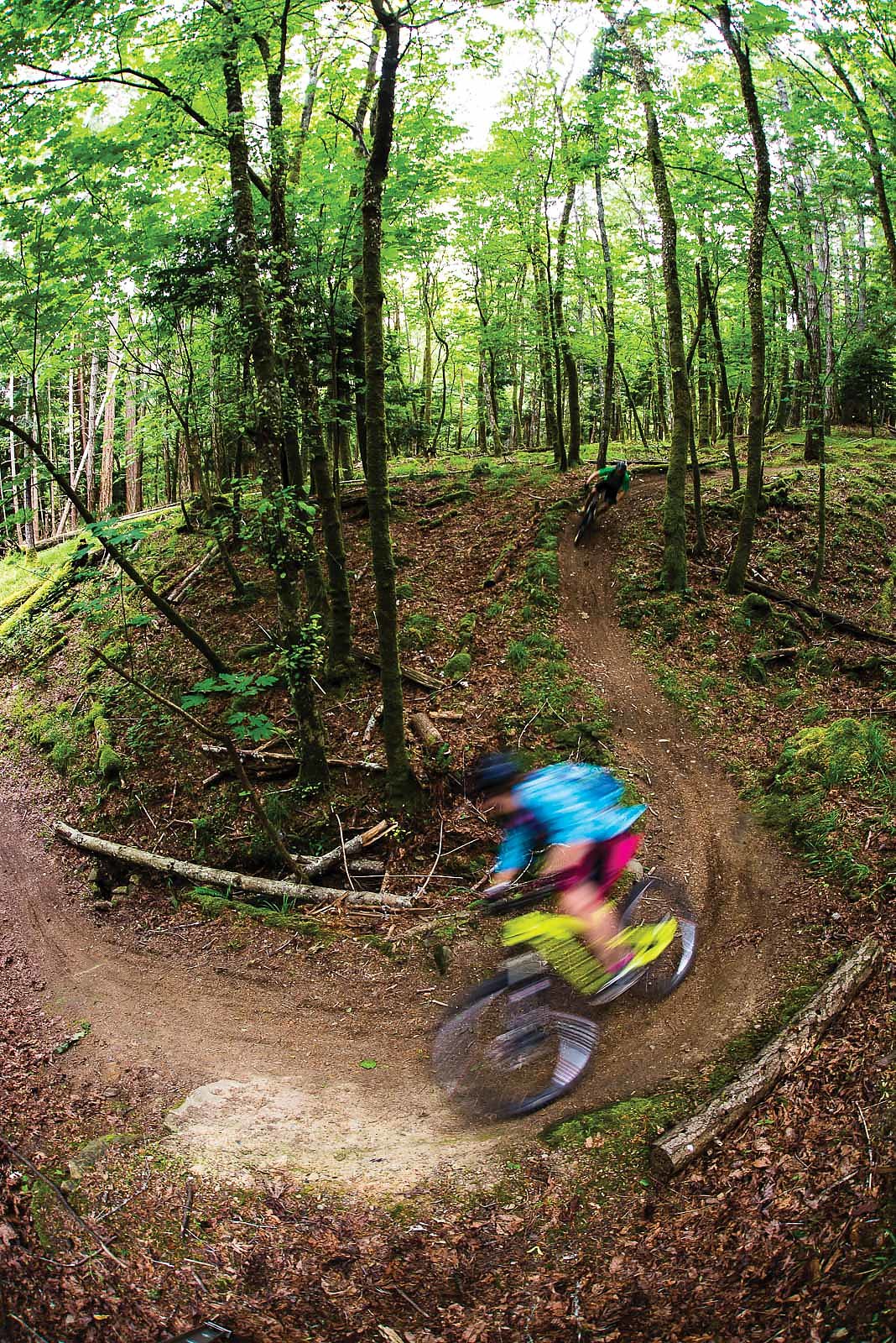 hornby island bike shop