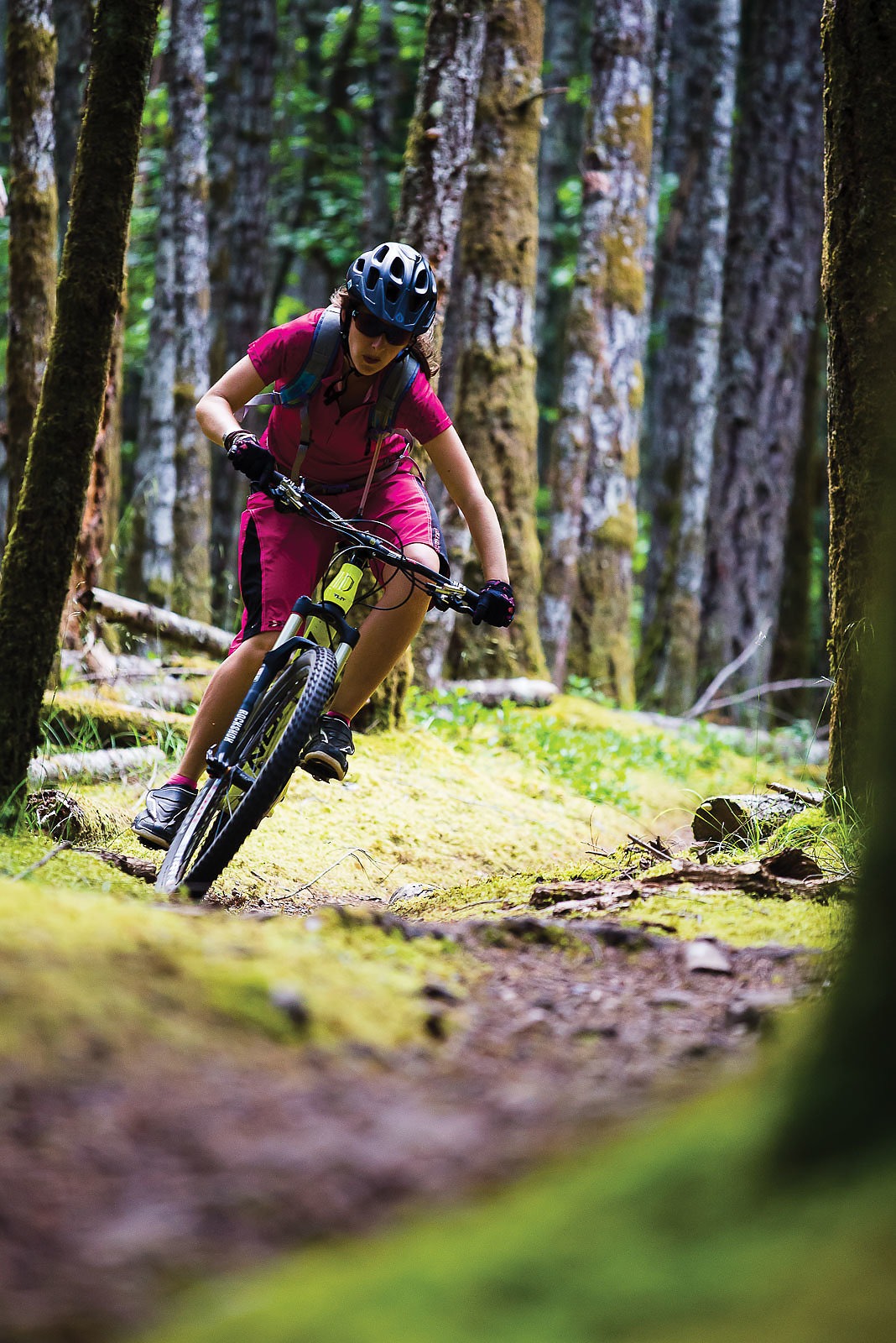 hornby island bike shop