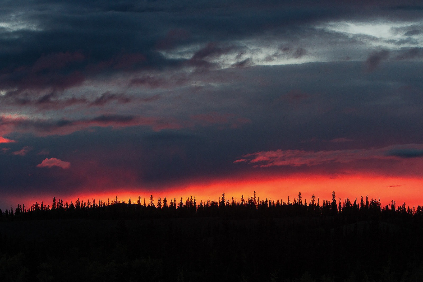 Royalty and Laidback Luxury in Whitehorse Chasing the Midnight Sun