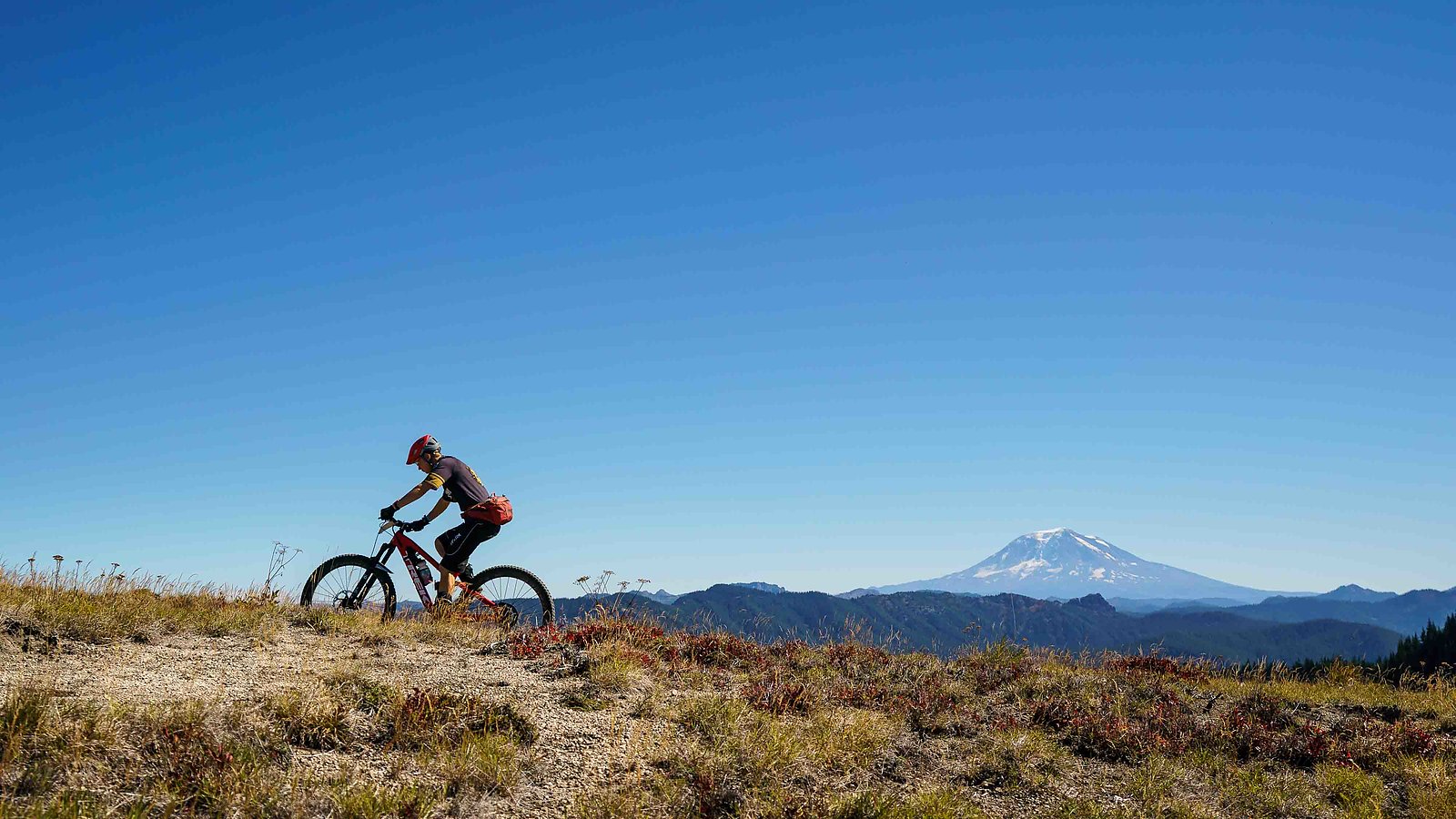 trans cascadia enduro