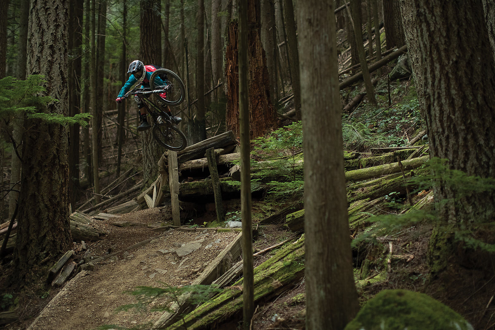 the north shore mountain biking