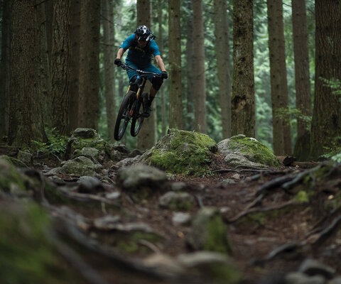 Mt. Fromme's trails aren't the highest-speed around, but they are certainly in the running for most technical--a heavy claim on the North Shore. That doesn't mean you can't send on Fromm, as four-time Canadian National Champion Andrew Shandro Proves.<br>CANON, 1/640 sec, f/1.8, IS0 3200