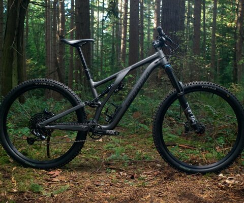 The Stumpjumper EVO gets the alloy treatment.