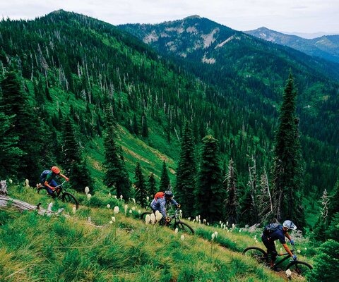 Jason Keen, Tyler Gustafson and Ross McCann blast through bear grass on the Beetop-Roundtop Trail in northern Idaho.